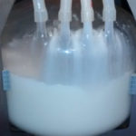 robotic-milking-machine-1-300x235-1-150x150378418-1