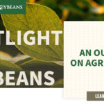 mo-soybeans_an-outlook-on-agriculture_1200x628-copy-150x150517589-1