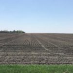 190610_soil_crusting_md-150x150212192-1