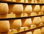 cheese-aging-in-storage-150x115652443-1