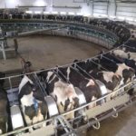 kinnardfarmsrotary2-150x15032664-1