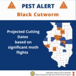 black-cutworm-alert-e1684780492560-150x150573788-1