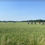 ilwheattour-150x150591510-1