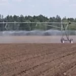 potatoes-sprouting-under-irrigation-cropped-150x150276871-1