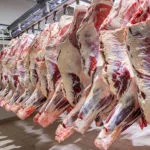 beefpacker-150x150322862-1