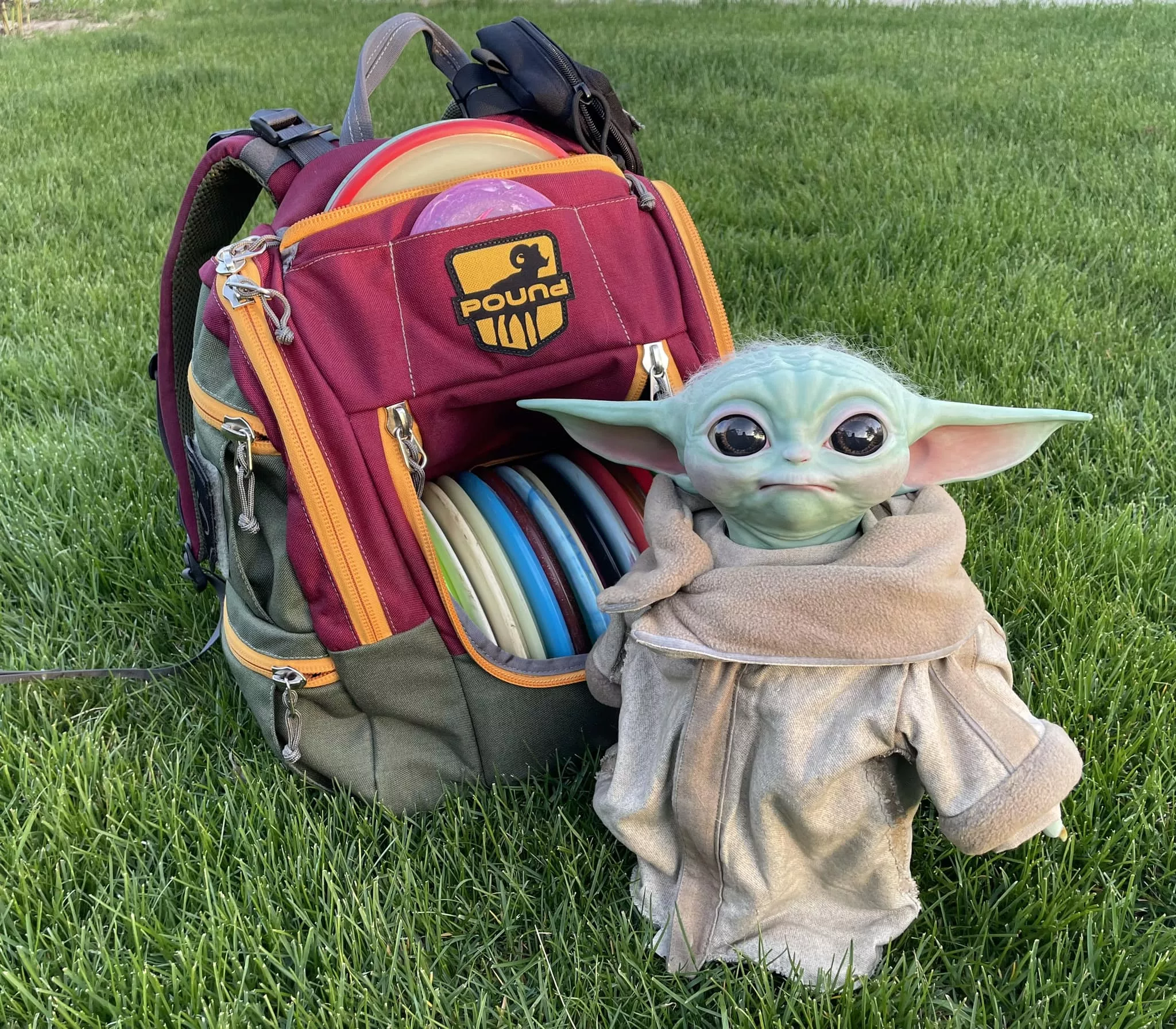 dis-golf-jpg