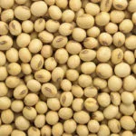 soybeans-150x150563123-1