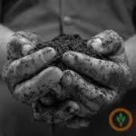 soil400x400-150x150713978-1