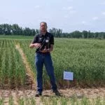 msu-kurt-stienke-fertility-research-2023-mi-wheat-150x150391539-1