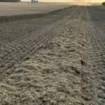 lefflerwwh2023ecks-e1687443502291-150x150704545-1