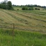 220618-fresh-cut-hay-prairie-farm-wi-150x150293654-1