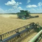 wheat-harvest-150x150405199-1