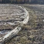 don-batie-irrigation-150x150752149-1