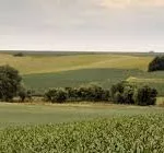 wisconsin-farmland-150x14064064-1