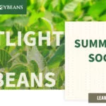 mo-soybeans_summer-soy_1200x628-150x150722803-1