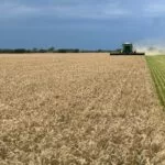 img_8989-150x150281256-1