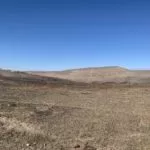 pasture-drought-150x150314507-1