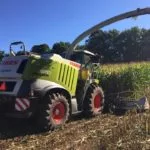 silage-harvest-1-150x150483421-1