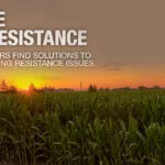 basf_800x418-copy-150x150616331-1