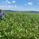 jay-fischer_corn_august23-e1691426896736-150x150672929-1