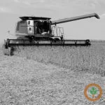 combine_soy400x400-150x150404955-1