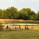 low-pond_northernmo_july23-150x150178271-1