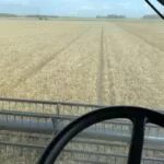 230828_theresia_gillie_harvest_md-150x150227056-1