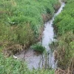 wotus-rule-150x150301156-1