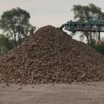 sugarbeets2018-150x150270239-1