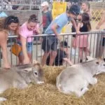 2323-wi-state-fair-1-150x150797630-1