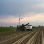 sugarbeet-harvest-thumb-150x150317073-1