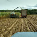 corn-silage-harvest-2020-ll-150x150881316-1