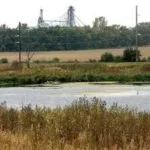 wetland1-150x150571725-1