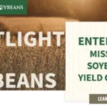 mo-soybeans_soybeans-yield-contest_1200x628-copy-150x150583366-1
