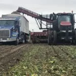 sugarbeet-harvest-150x150961118-1