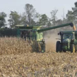 corn-harvest-150x150719824-1