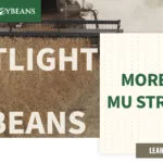 mo-soybeans_mu-strip-trial_1200x628-copy-150x150237622-1