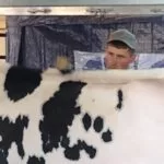 wi-show-cow-prep-wsf-2022-150x150627118-1