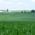 farmland-tom-steever-photo-150x150239231-1