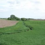 buffer-strip-150x150271328-1