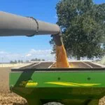 corndump_2023-150x150524836-1