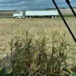 211112_carolyn_olson_harvest_md-150x150104825-1
