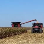 joe-bloome-corn-harvest-2-150x150910306-1