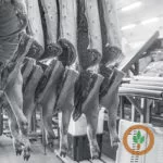 meatpackers-150x150137931-1