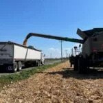mo-corn-harvest_sept2023_2-150x150663296-1