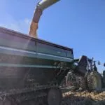 nh_poll-mi-grain-harvest22-150x150719220-1
