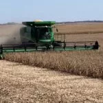 bainbridge_soybeanharvest2-150x150755499-1