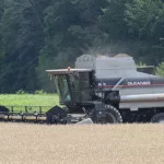 070615wheat-harvest-2-150x150792173-1