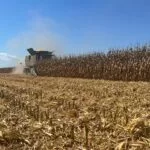 mo-corn-harvest_sept2023_7-150x150215041-1
