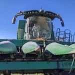 nh_chris-poll-combine-150x150559636-1